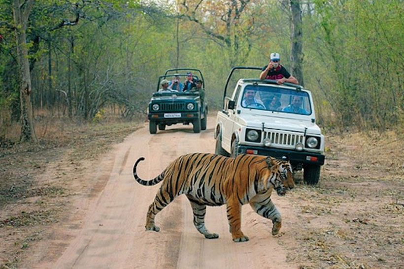 7 days Rajasthan Tour with Ranthambore